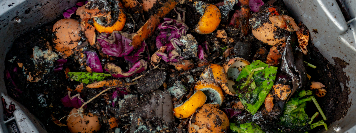 Het gebruik van compost: hoe werkt dat nu eigenlijk?