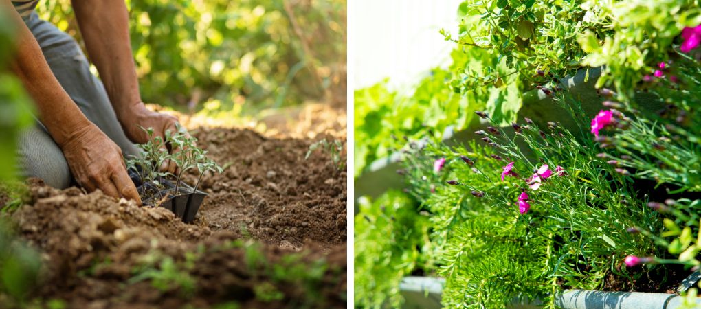 GroenRijk Prinsenbeek | Tips voor een groenere tuin