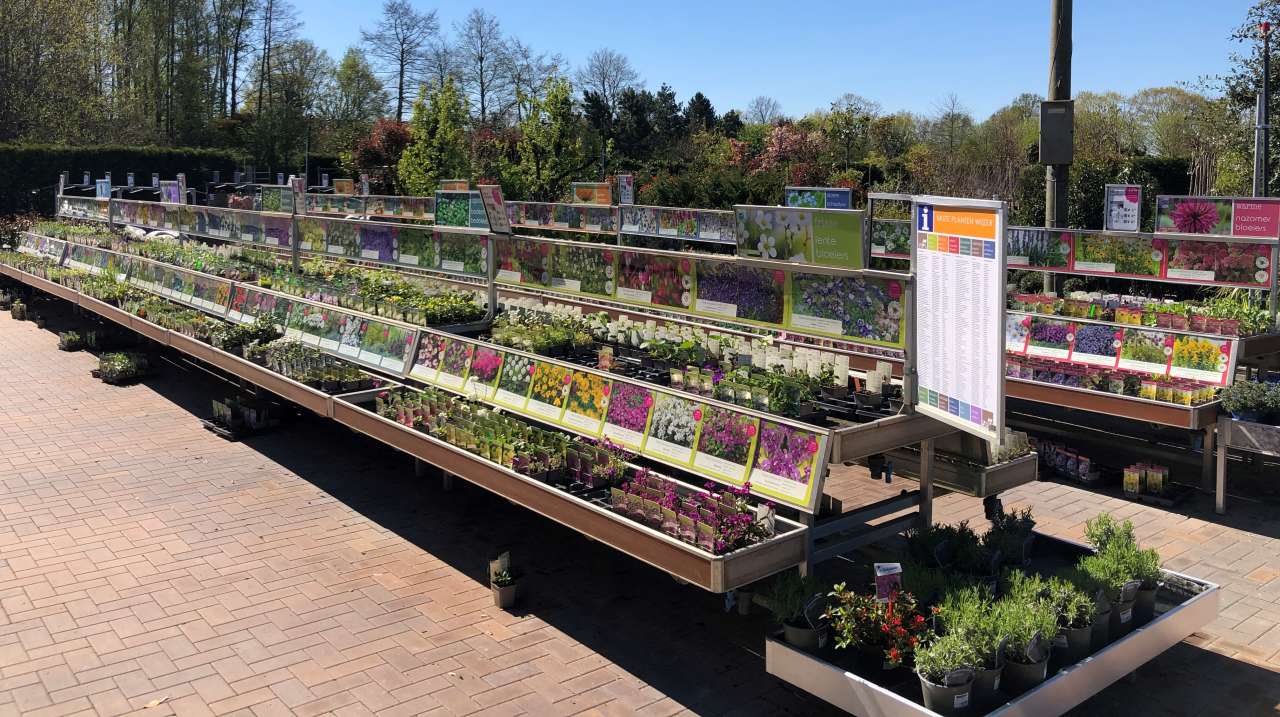 Tuinplanten | GroenRijk Schalk Prinsenbeek | Eigen kwekerij