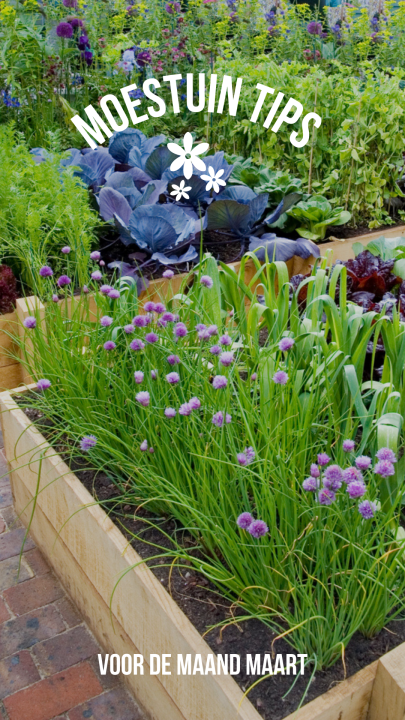 Moestuin tips