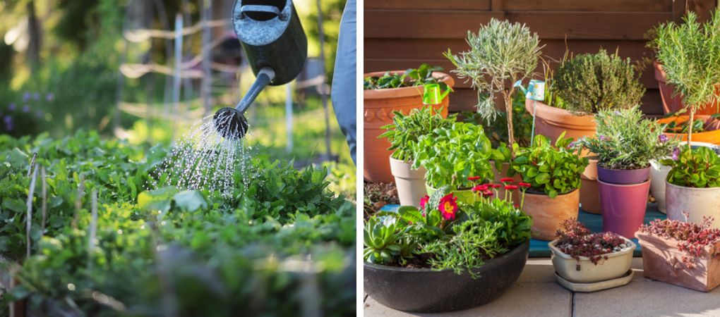 GroenRijk Prinsenbeek | Tips voor een groenere tuin