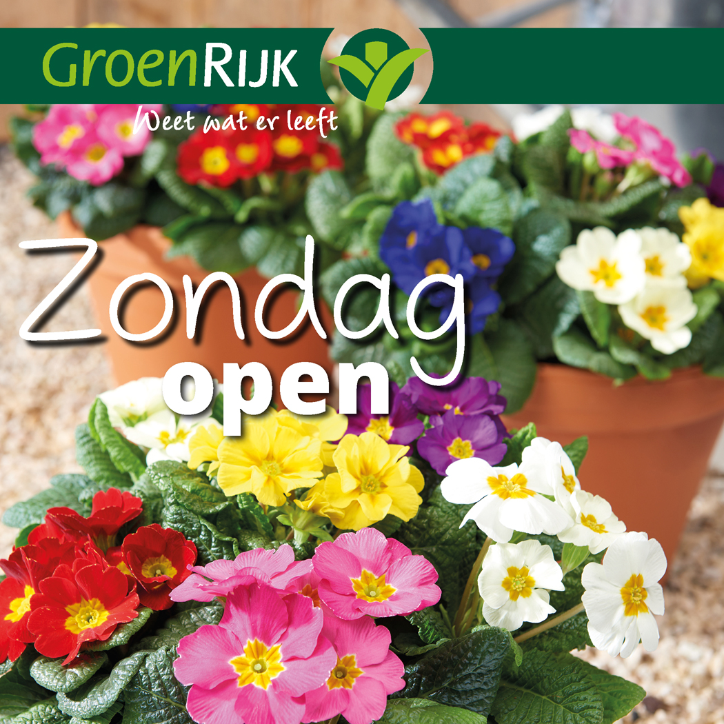 Weten wanneer er koopzondag bij u in de buurt is?