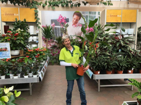 Veelzijdig tuincentrum bij Breda GroenRijk