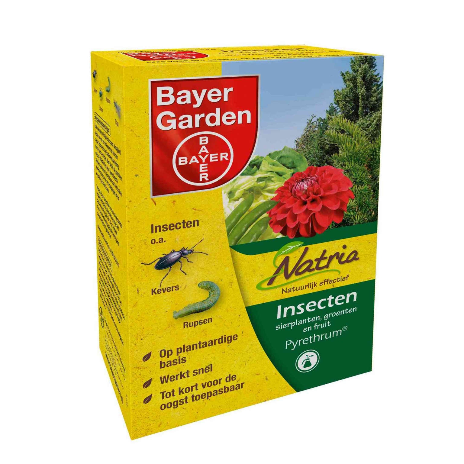 Bayer buxusmot bestrijding