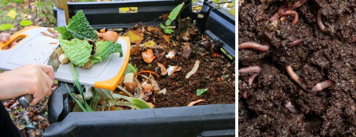 GroenRijk Prinsenbeek | Gezond Bodemleven | Het Groen Klimaatplein