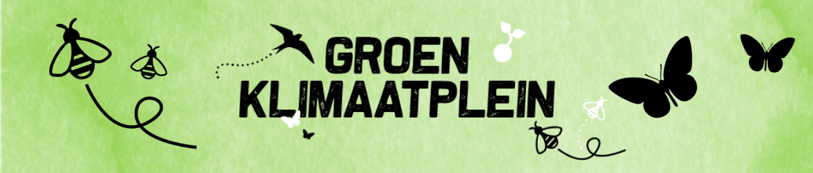 Het Groen Klimaatplein | GroenRijk Schalk Prinsenbeek