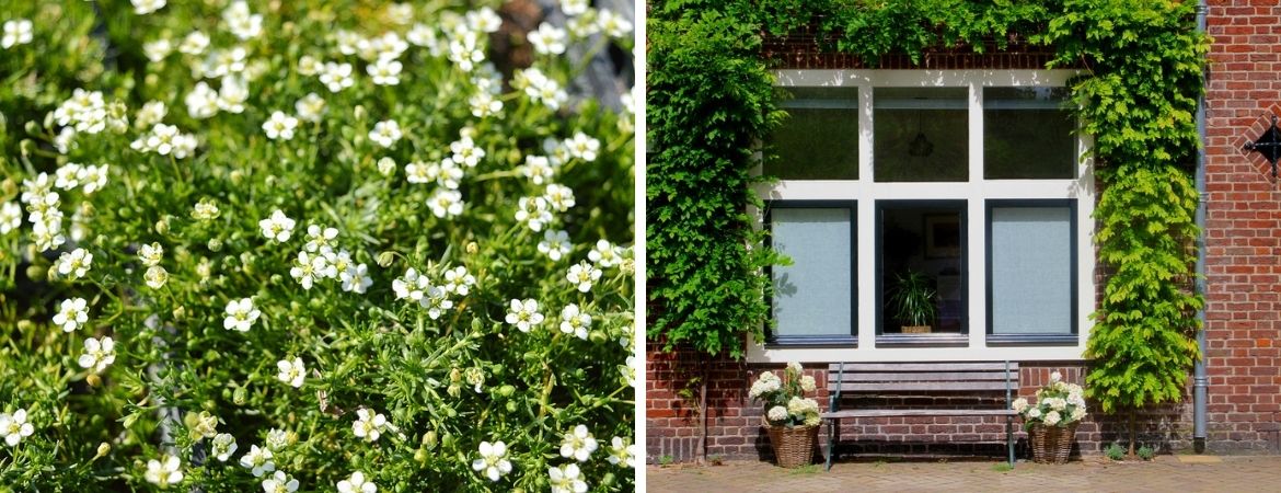 GroenRijk Prinsenbeek | Gezond Bodemleven | Het Groen Klimaatplein