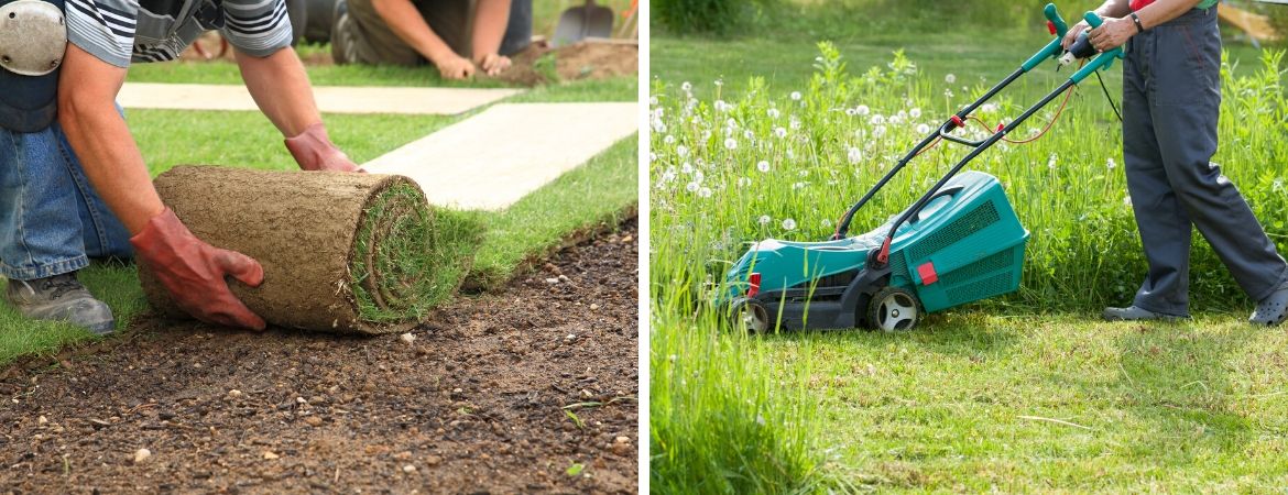 GroenRijk Prinsenbeek | Breda | Gazon | Gazononderhoud | Graszoden