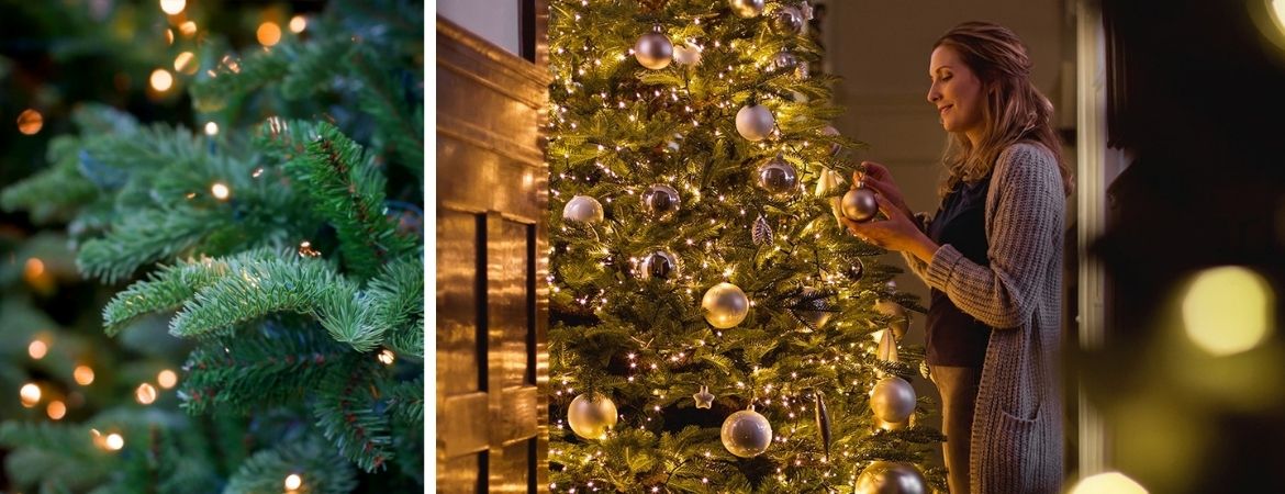 Kerstboom kopen Breda bij Groenrijk Prinsenbeek