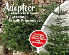Adopteer een kerstboom Adopteer een kerstboom
