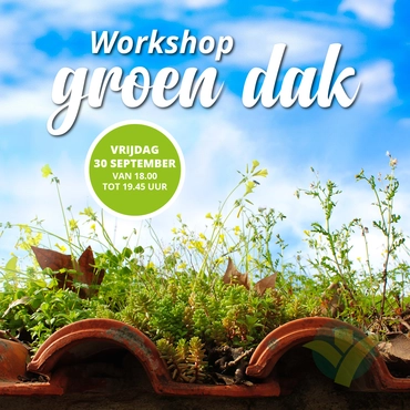 Workshop Groen dak aanleggen