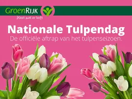 Tulpenseizoen is geopend!