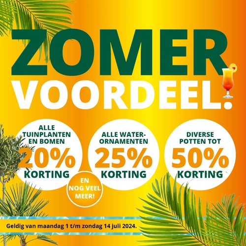 Zomer voordeel: tot wel 50% korting*