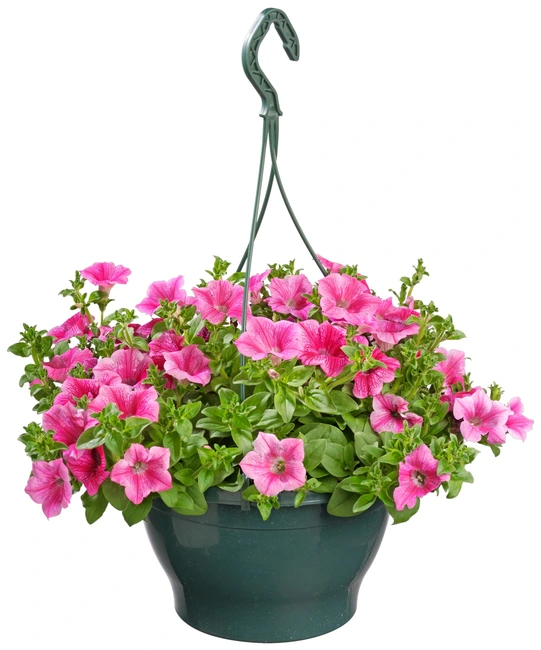 Alle hangpotten 21cm