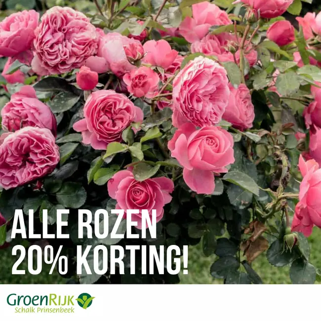 Alle rozen 20% korting