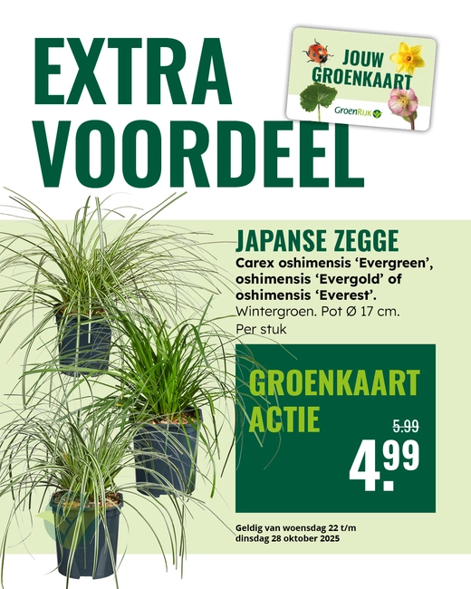 Carex