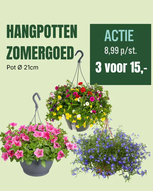 Hangpotten zomergoed