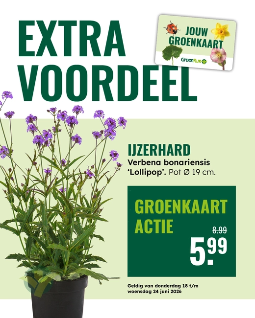 Ijzerhard