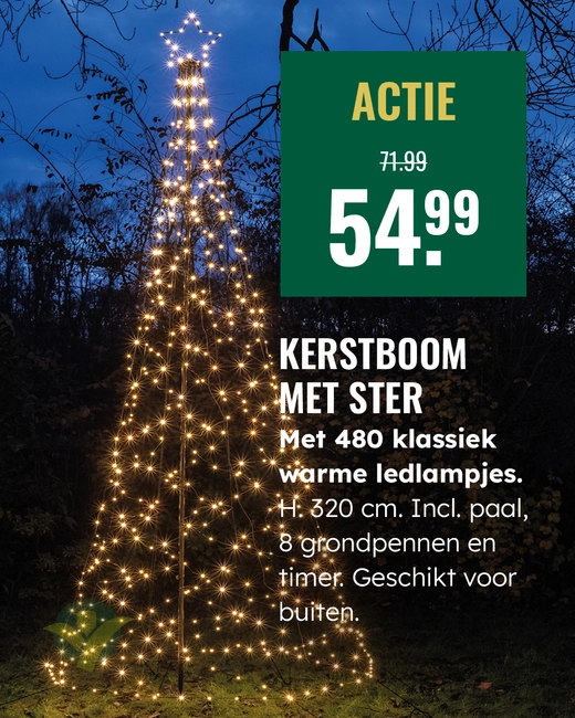Kerstboom met ster