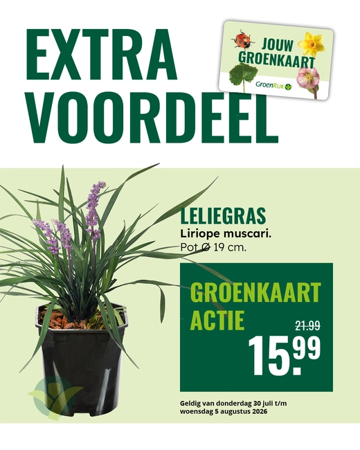 Leliegras