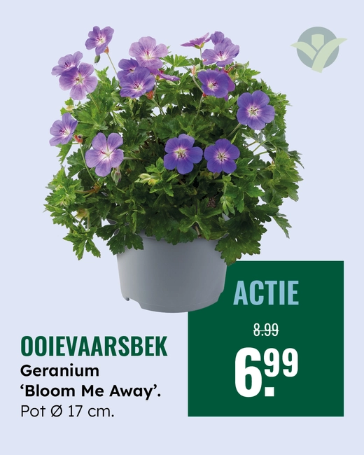 Ooievaarsbek