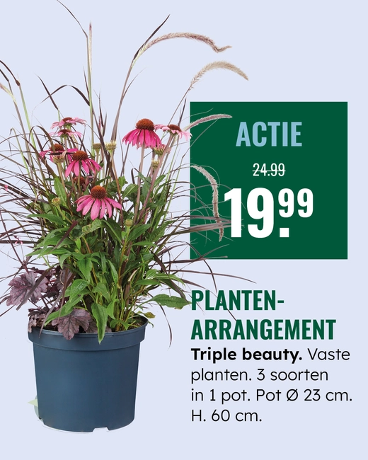 Planten arrangement