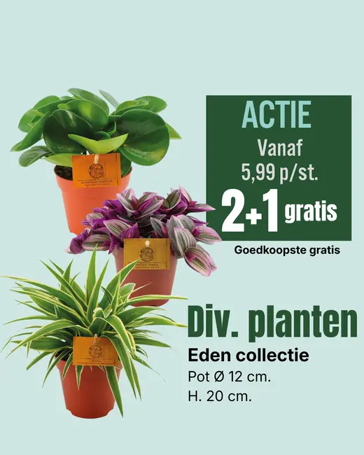 Planten eden collectie