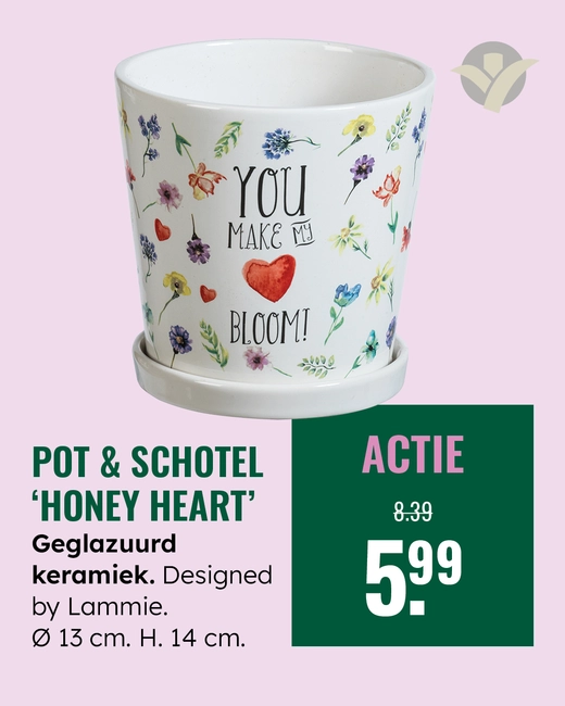 Pot honey heart