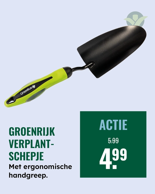 Schepje