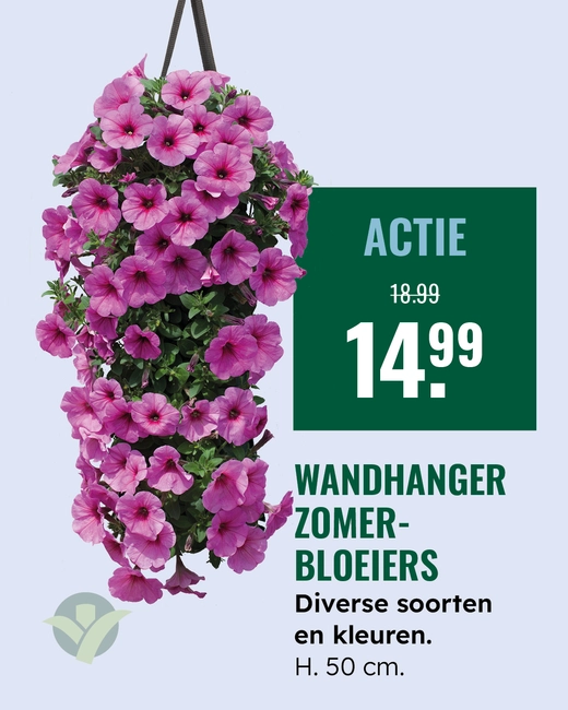 Wandhanger