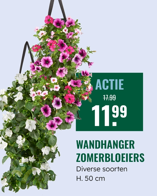 Wandhanger zomerbloeiers