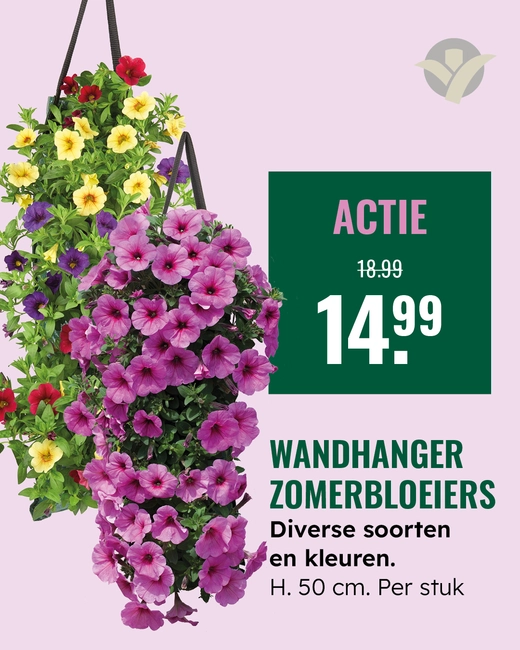 Wandhanger zomerbloeiers