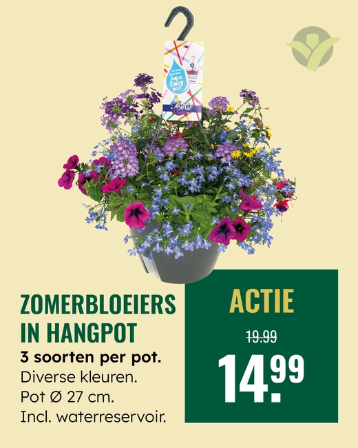 Zomerbloeiers in hangpot