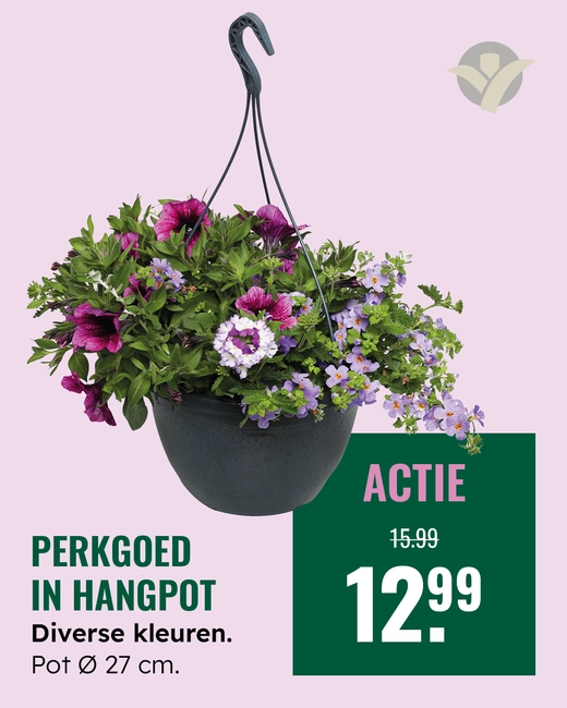 Zomerbloeiers in hangpot