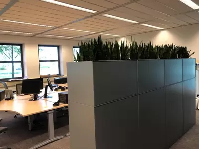 Kantoorbeplanting bij Lonza Benelux B.V. in Breda