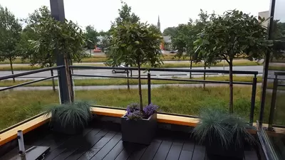 Kantoorplanten bij GlasGarage in Breda