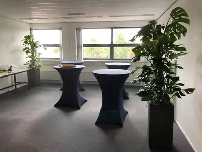 Kantoorplanten bij Saint-Gobain Autover