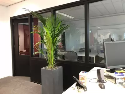 Kantoorplanten bij Saint-Gobain Autover