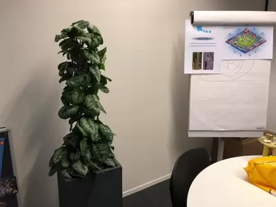 Kantoorplanten bij Saint-Gobain Autover