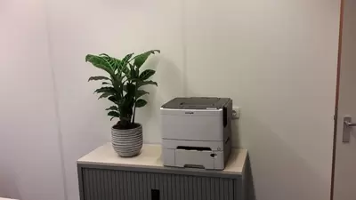 Kantoorplanten op kantoor in Breda