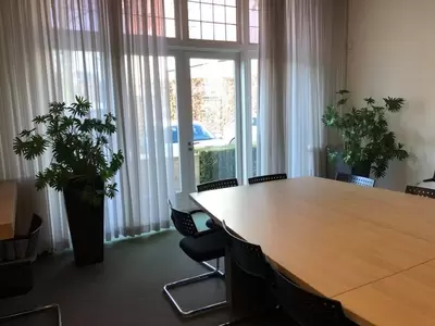Kantoorplanten op kantoor in Breda