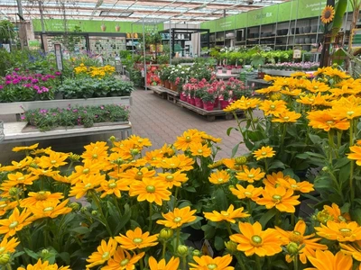 Kijkje in ons tuincentrum
