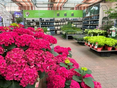 Kijkje in ons tuincentrum
