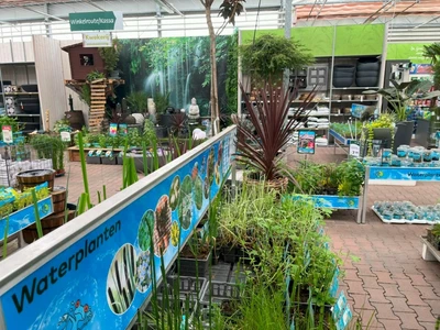 Kijkje in ons tuincentrum