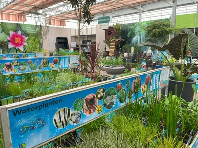 Kijkje in ons tuincentrum