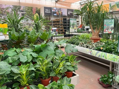 Kijkje in ons tuincentrum