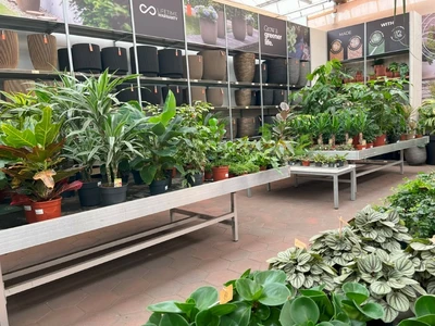 Kijkje in ons tuincentrum