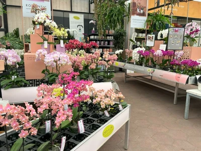 Kijkje in ons tuincentrum