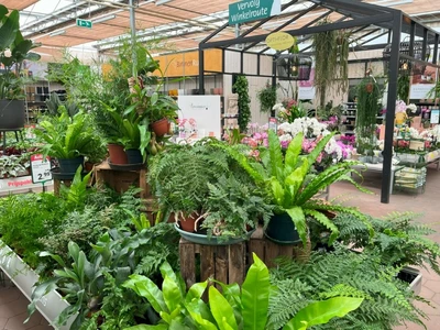 Kijkje in ons tuincentrum