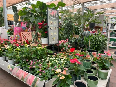 Kijkje in ons tuincentrum
